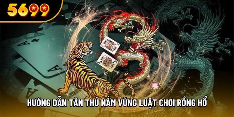Hướng dẫn tân thủ nắm vững luật chơi Rồng hổ